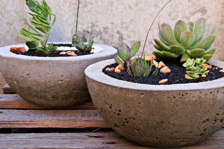 DIY Cement Planters at Home: Step-by-Step Guide for Stylish Indoor & Outdoor Decor